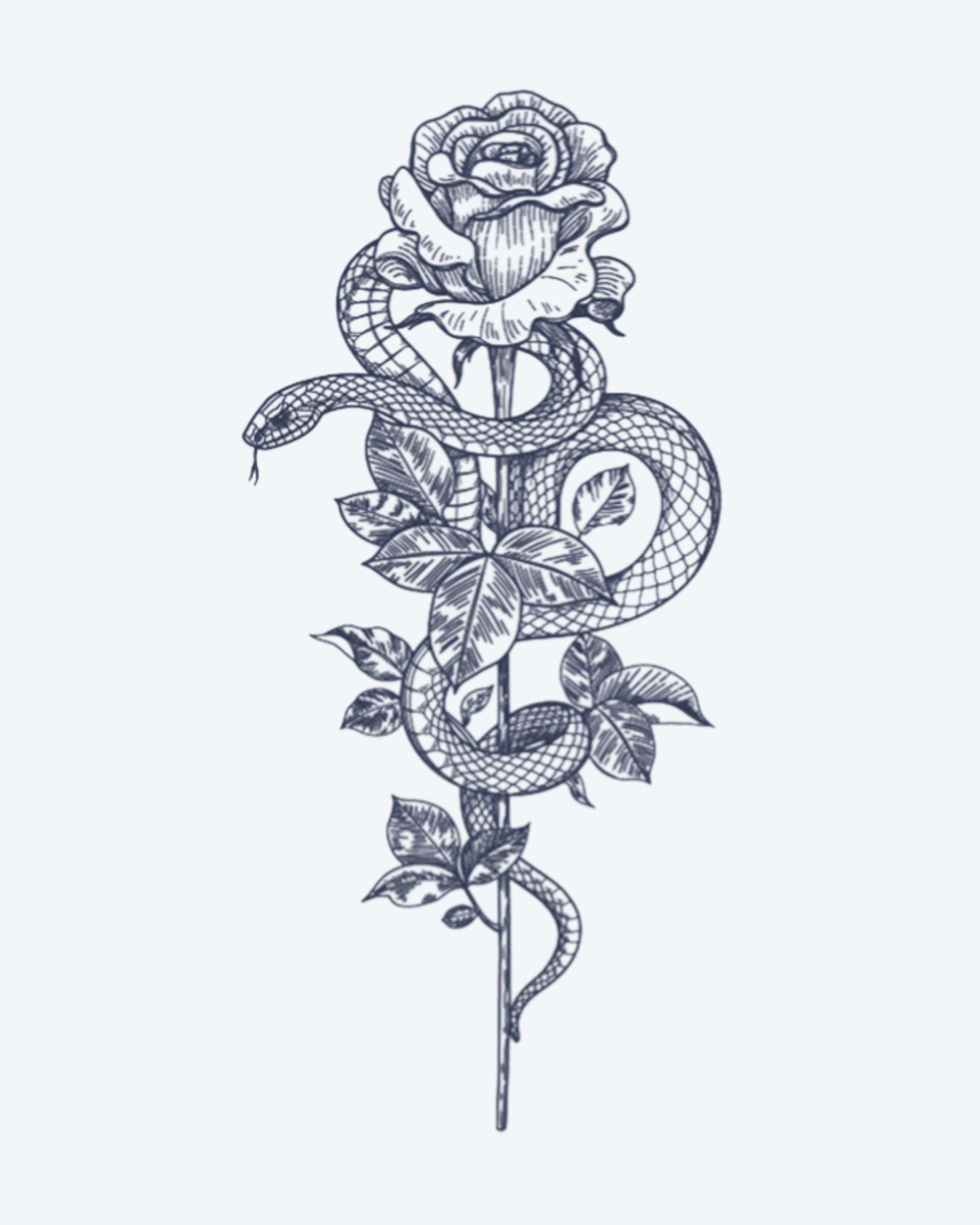 Serpent et Rose
